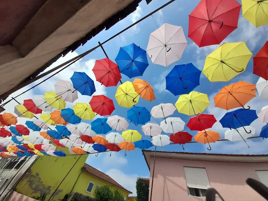 Cátia Sofia_Restaurante Antiga Casa Mota_São Romão do Coronado_recensione