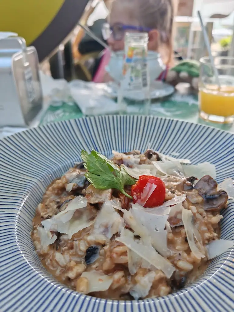 Alina Nichifor_O Gato Comeu-te a Língua_Vila Nova de Gaia_review