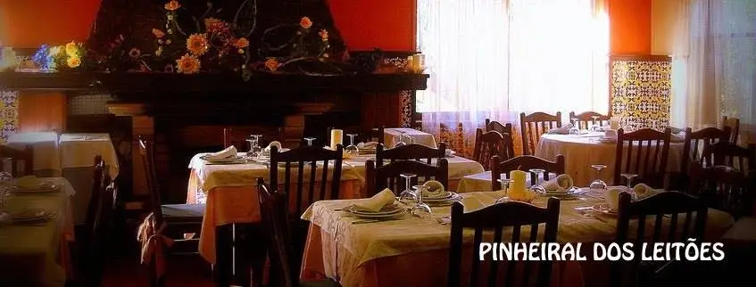 Pinheiral dos Leitões_Vila Nova da Telha_slider_image_1