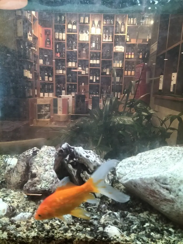 Vânia Antunes_Mister Grill_Paços de Brandão_review