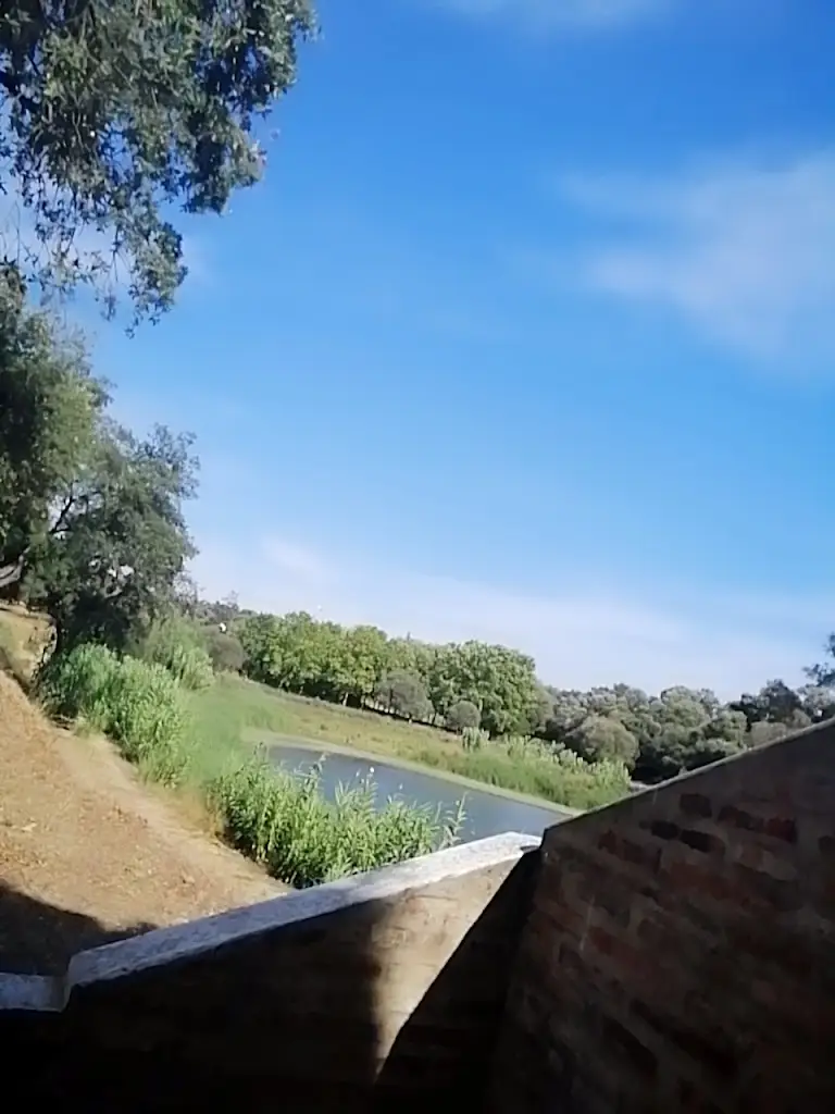 Maria A Alcantara_Tribo das Papoilas_Amiães de Baixo_recensione