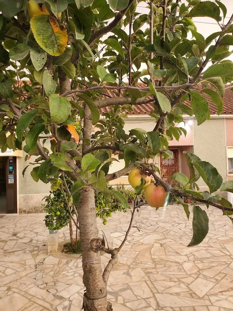 Tasca Portuguesa- Maria João Dias Nunes_Alcanede_slider_image_1