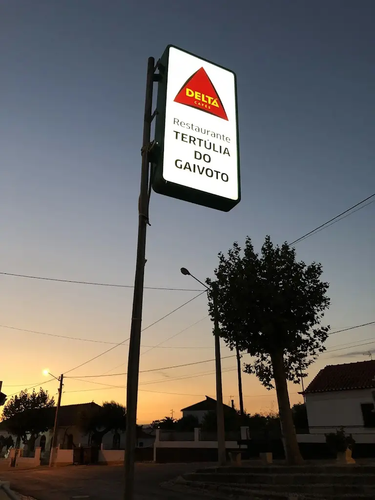 Brenda Janet Ho_Tertúlia du Gaivoto_Alcanena_recensione