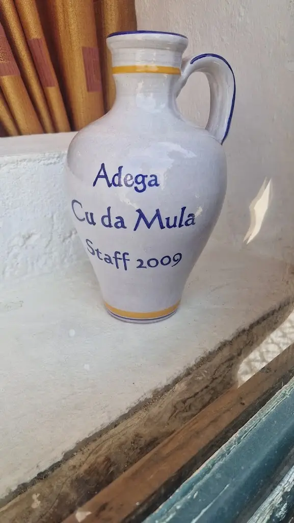 Emanuel Real_Typical Winery Ass of the Mule_Azinhaga_reseña