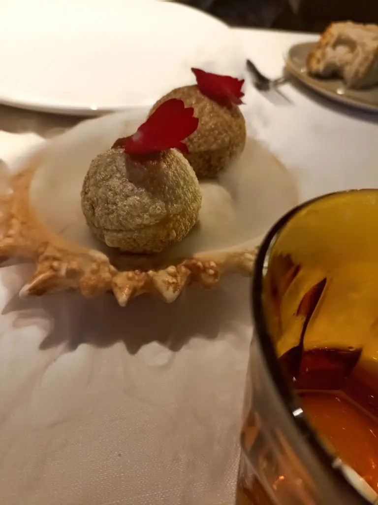 Cyborg Yume_O Bom Garfo_Abrantes_recensione