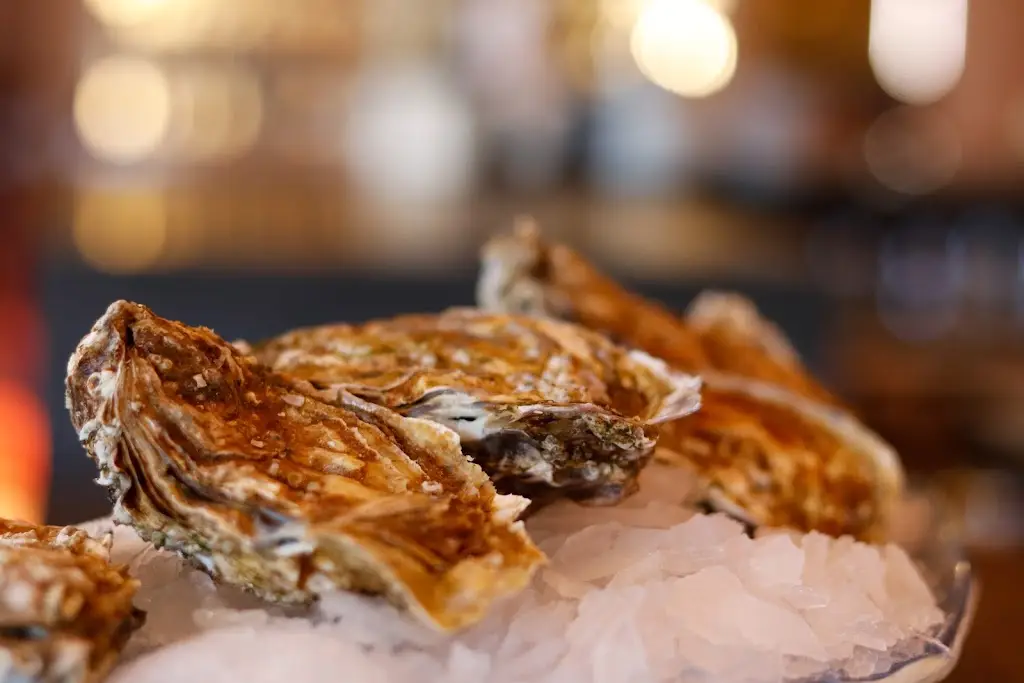 O Bom Garfo_Abrantes_slider_image_3