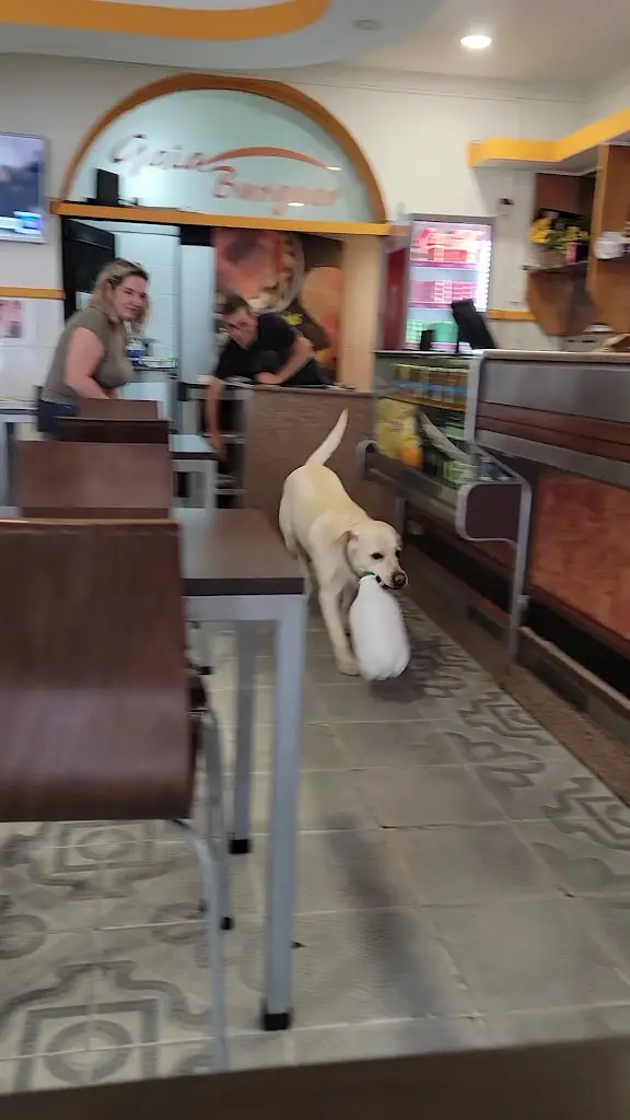 7_Gaia Burguer_Vilar do Paraíso_recensione