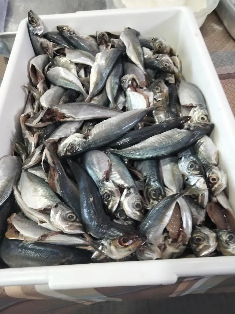 Menu_Restaurante O Moço_Chamusca_immagine_7