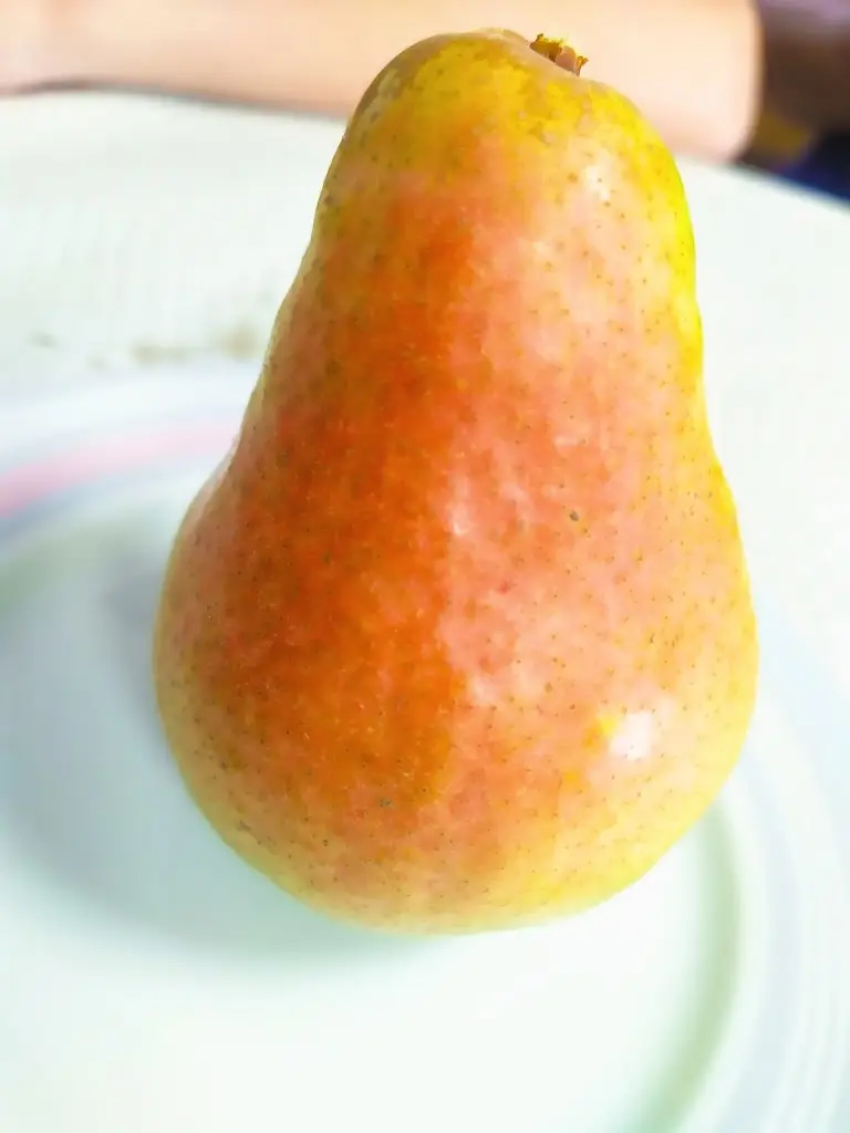 Menu_Celeste_Alpiarça_immagine_9