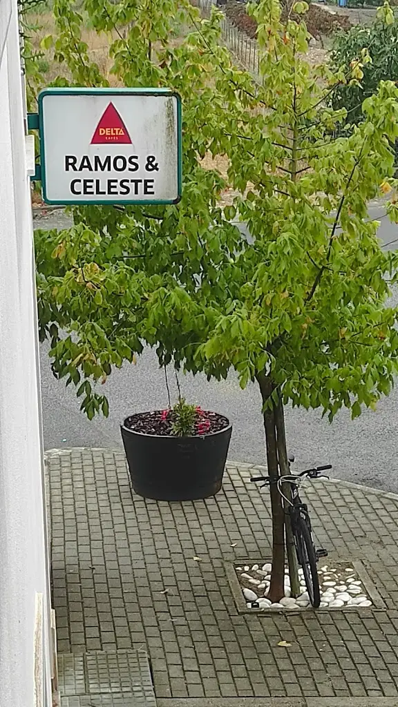 Jean-Marie Mesot_Celeste_Alpiarça_recensione