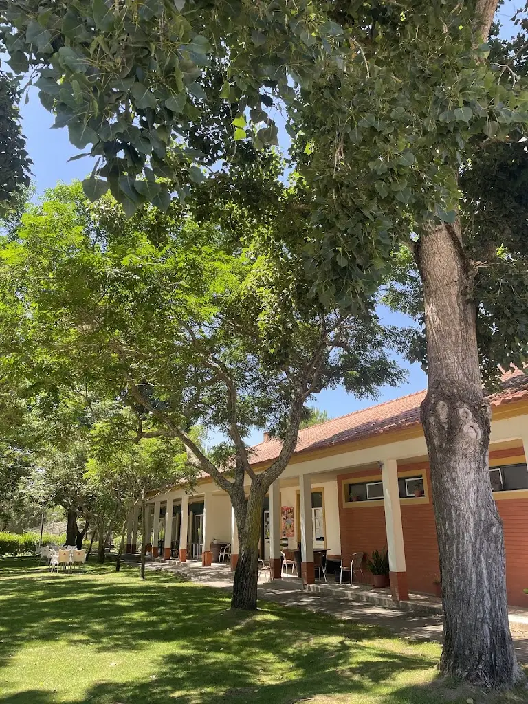 Violeta Galan Aberturas_O Cavalo do Sorraia_Alpiarça_recensione