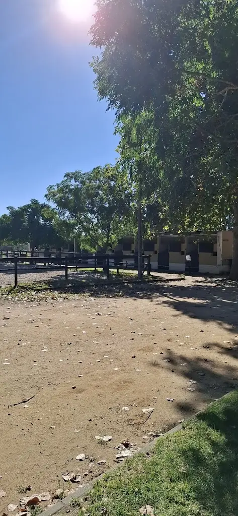 João Violante_O Cavalo do Sorraia_Alpiarça_recensione