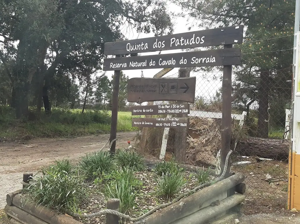 Joana Simião_O Cavalo do Sorraia_Alpiarça_recensione