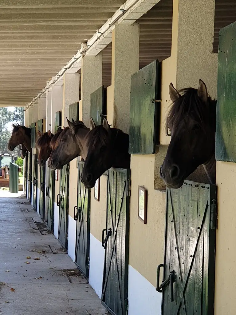 O Cavalo do Sorraia_Alpiarça_slider_image_1