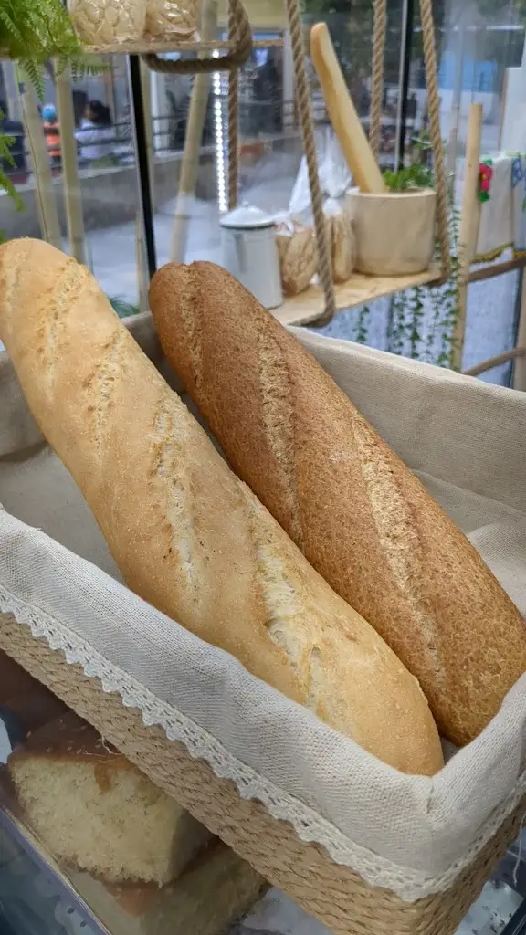 Menu_Casa Benfica Alpiarça_Alpiarça_immagine_3