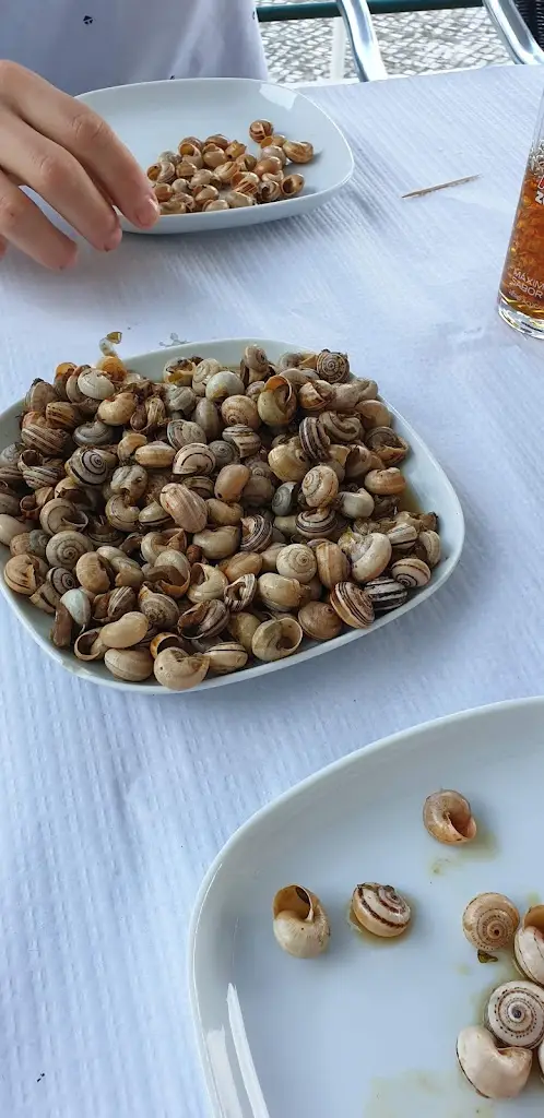 Menu_Barragem dos Patudos_Alpiarça_immagine_5