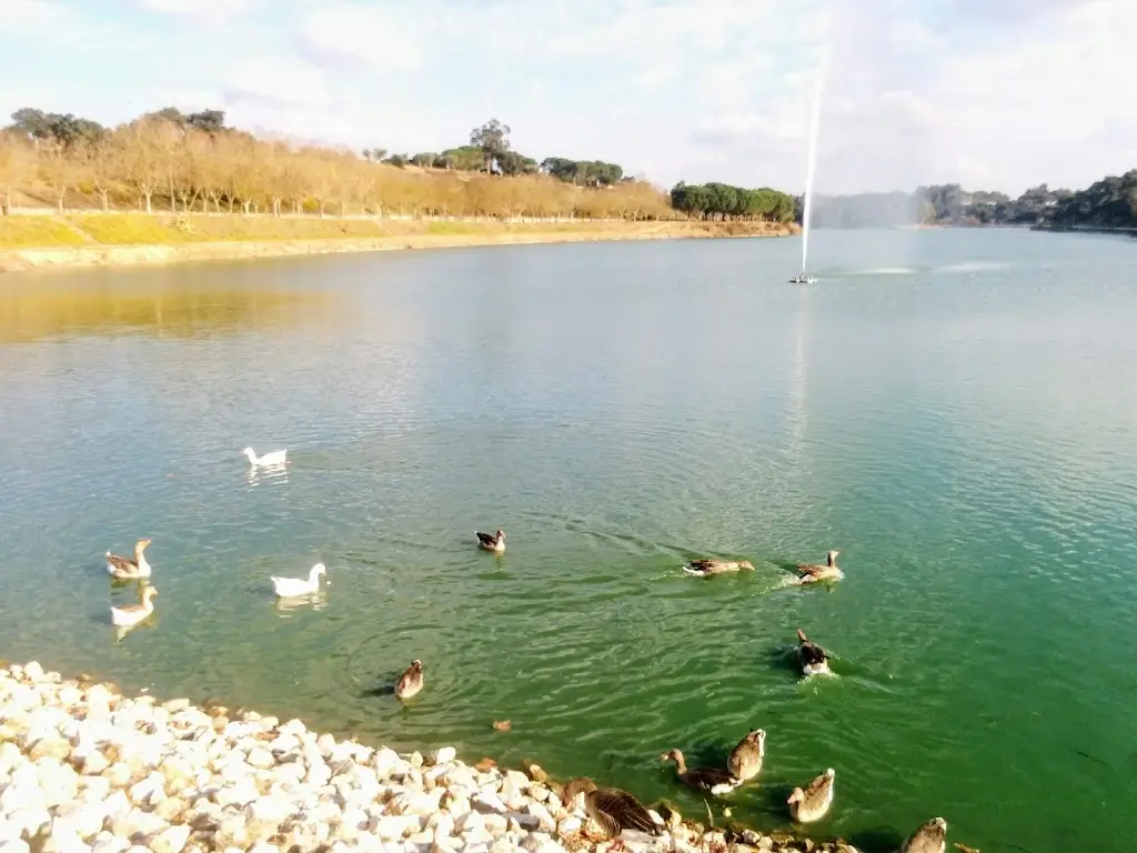 Ania Kubica_Barragem dos Patudos_Alpiarça_recensione