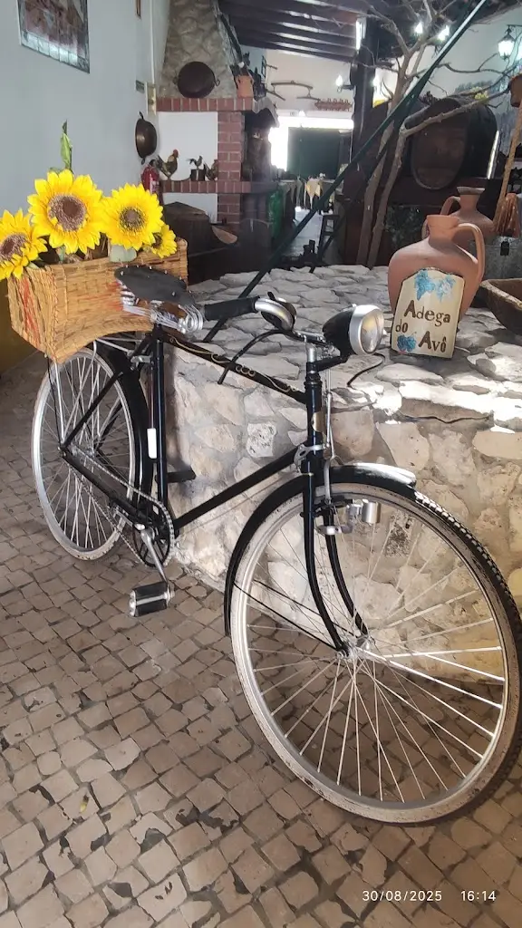 Vera Silva_Adega do Avô_Pontével_review