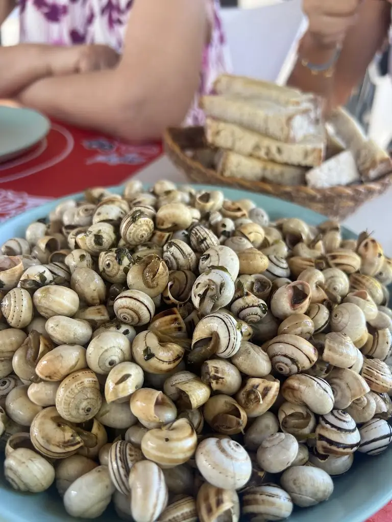 Patrícia Gouveia_Quinta da Barragem_Marinhais_recensione