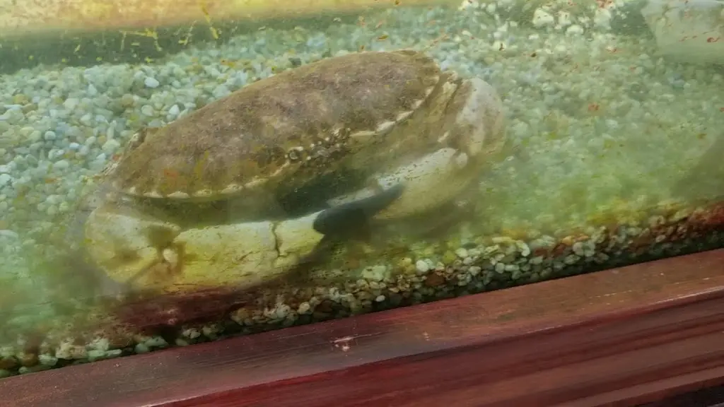 Quinta do Parque Real_Marinhais_slider_image_2