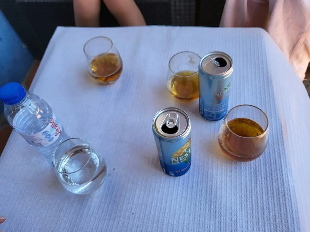 Menu_Bar do Castelo_Praia do Ribatejo_image_5