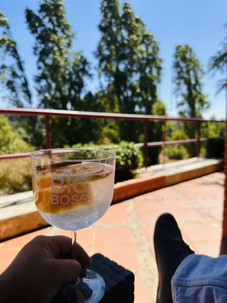 Nuno Taxeiro_Bar do Castelo_Praia do Ribatejo_review