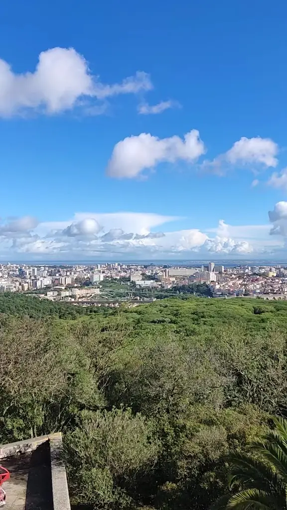 Ofek Shaked_Panorâmico de Monsanto_Monsanto_reseña