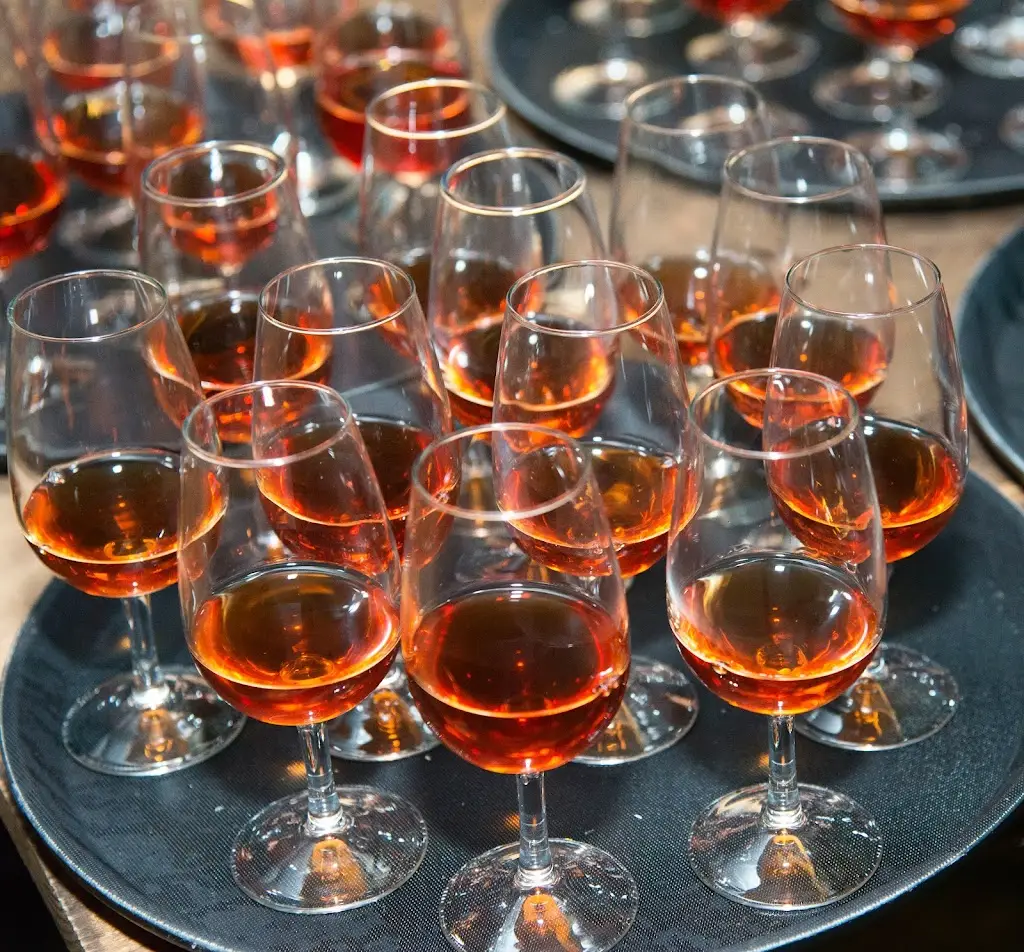 Menu_1.º Direito_Monsanto_image_7