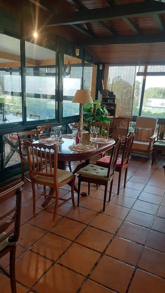 Maria Leite_1.º Direito_Monsanto_review