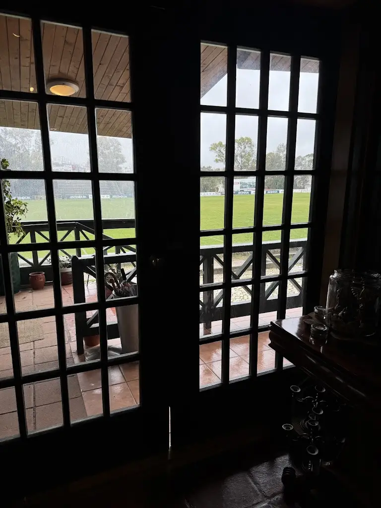 Carlos B David_1.º Direito_Monsanto_review