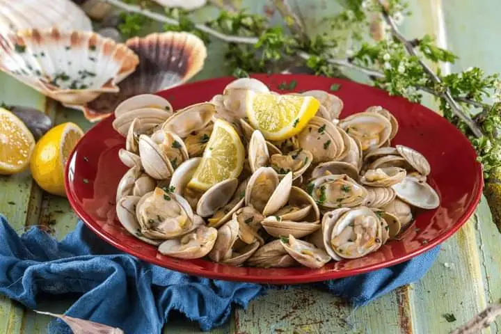 Menu_Café Feliz_Ferreira do Zêzere_immagine_3