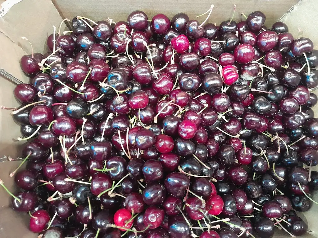 Menu_Grill House The Braseiro_Salvaterra de Magos_immagine_7