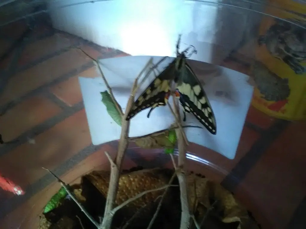 Dona Irene_Vale de Santarém_slider_image_3