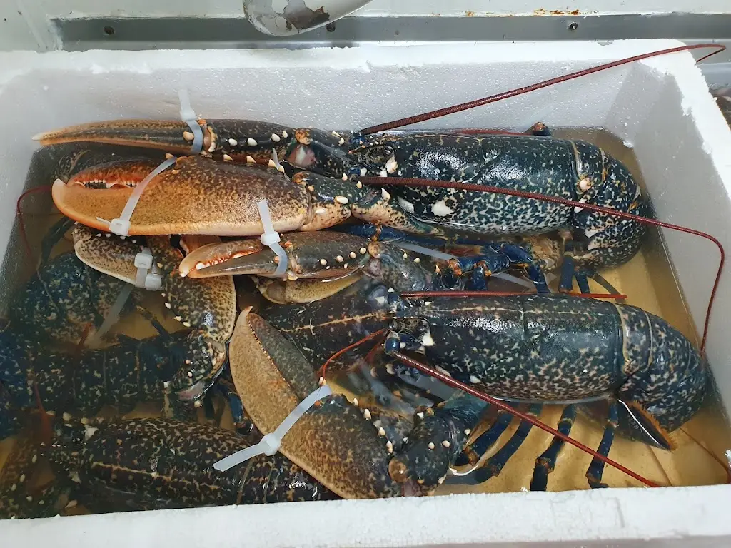 Menu_100 Gramas & Companhia_Rio Maior_imagen_3