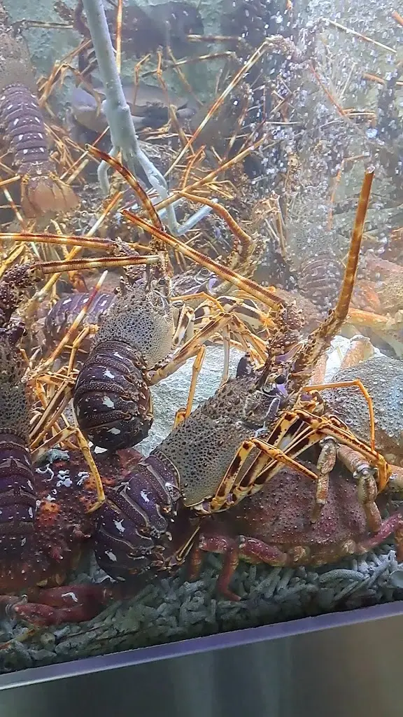 A Torre_Samora Correia_slider_image_2