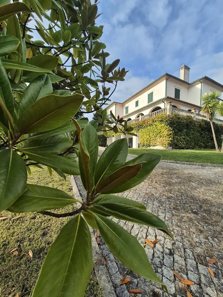 Restaurante O Éden_Oliveira do Bairro_slider_image_3