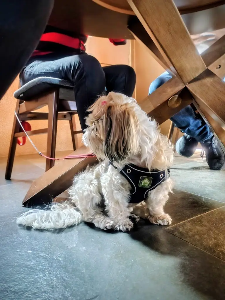 Winona Antao_Ode Cellar Door_Vila Chã de Ourique_recensione