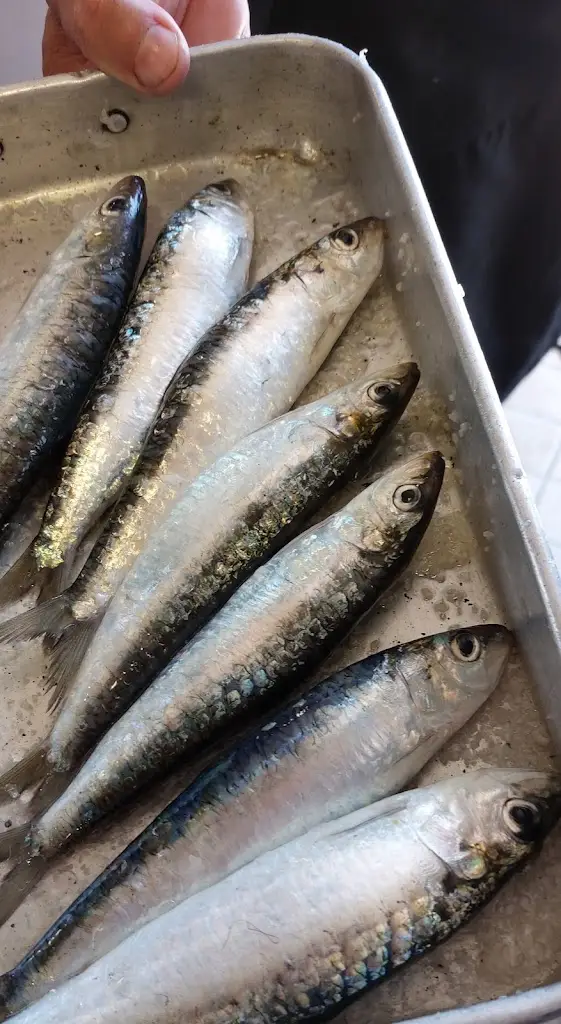 Menu_Restaurante Casa Fernando_Amora_immagine_3