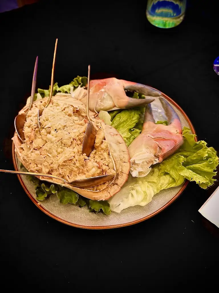 Paulo Vie_O Pinto_Amora_recensione