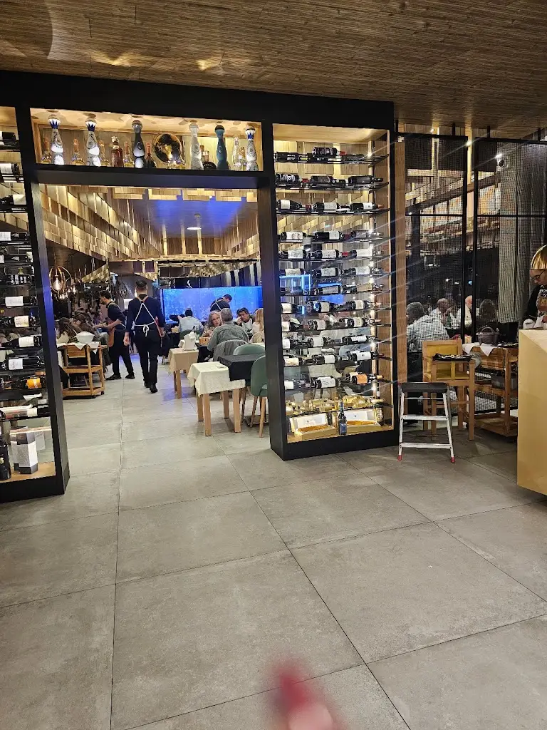 Jurema Carvalho_O Pinto_Amora_recensione