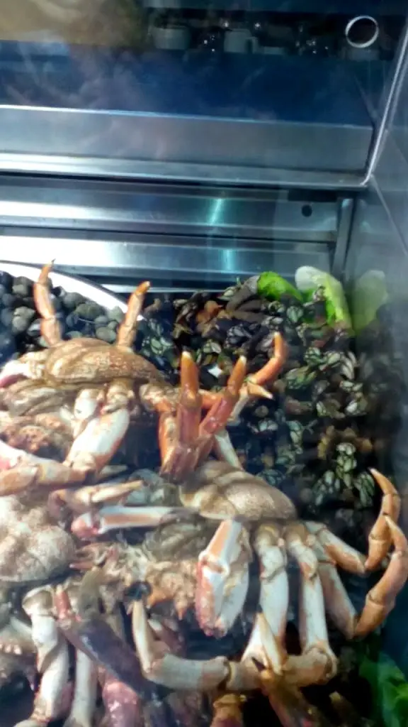 O Pinto_Amora_slider_image_2