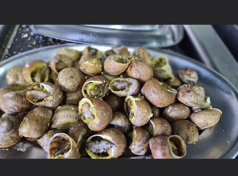 Menu_Restaurante Gastronomia pina_Aldeia de Paio Pires_immagine_7