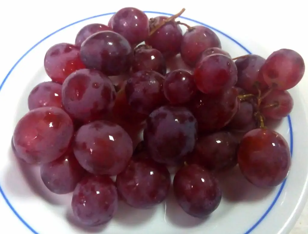 Menu_Taberna Casa de Pasto O Pião_Santarém_image_9