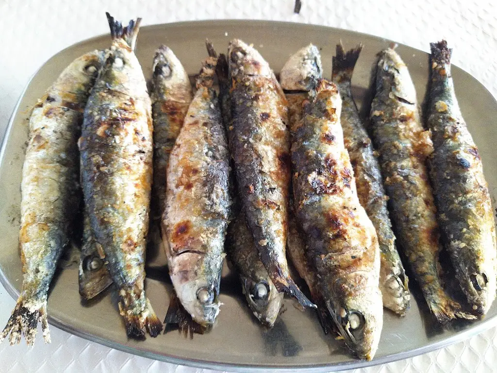 Menu_Taverna Típica Miratejo_Santarém_immagine_1