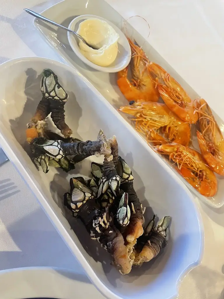 L Willetts_Alfoz_Alcochete_review