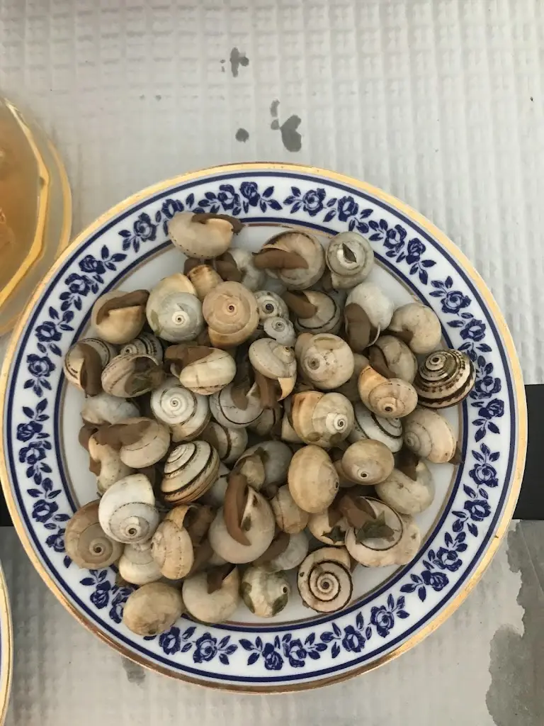 Menu_A Taberna_Alcácer do Sal_immagine_6