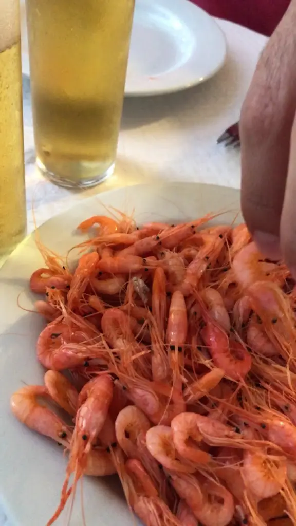 A Papinha_Alcácer do Sal_slider_image_2