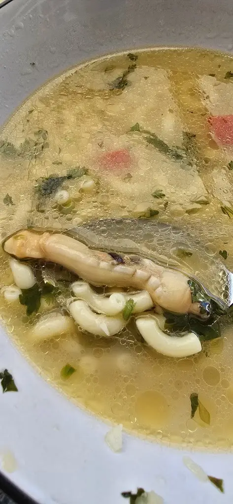 Ditmar Scherer_Porto Santana_Alcácer do Sal_recensione