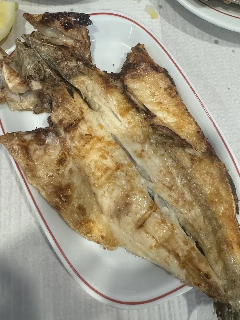 Monique De Abreu_Casa Janeiro_Azeitão_recensione