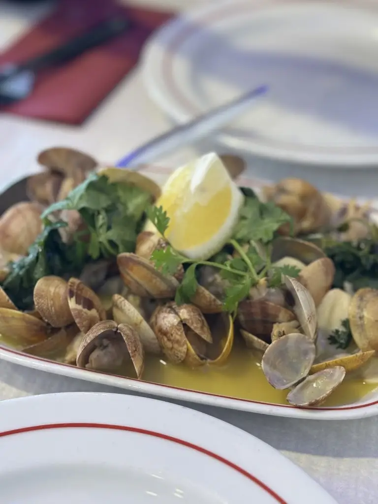 Jayden Lee_Casa Janeiro_Azeitão_recensione